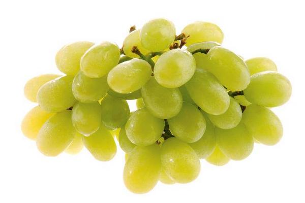 葡萄像什么 葡萄有哪些品種