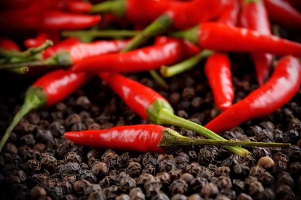 紫色的辣椒是什么品種 辣椒有多少種