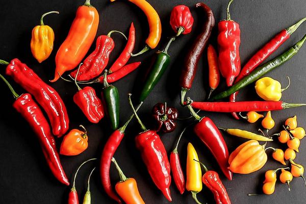 紫色的辣椒是什么品種 辣椒有多少種