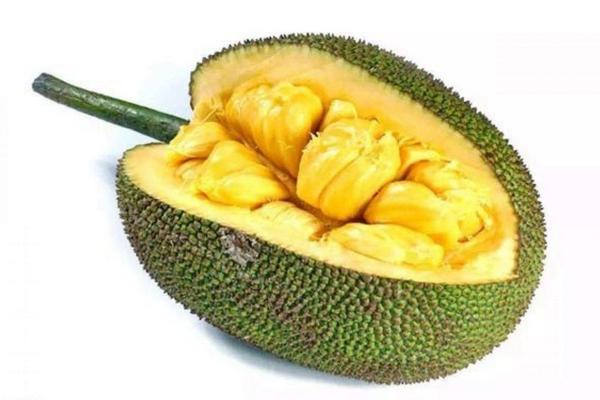 菠蘿蜜怎么打開 菠蘿蜜能放多久