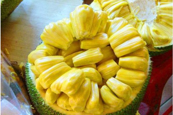 菠蘿蜜怎么打開 菠蘿蜜能放多久