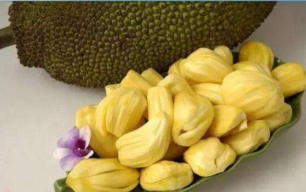 菠蘿蜜怎么打開 菠蘿蜜能放多久