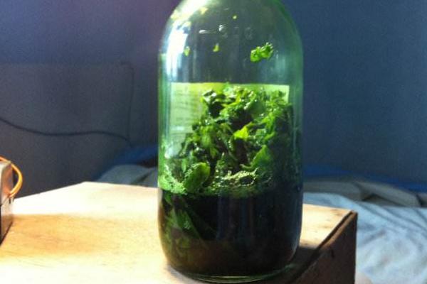 無花果能生吃嗎 無花果可以泡酒嗎