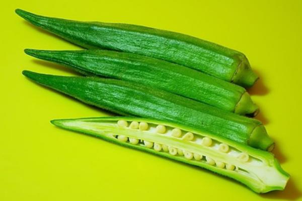 秋葵什么時候成熟 秋葵老了怎么吃