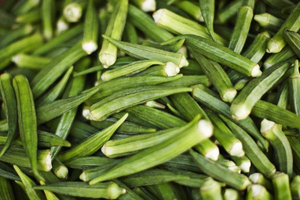 黃秋葵和紅秋葵的區別是什么 黃秋葵和紅秋葵哪個好