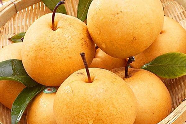 梨子的功效與作用及禁忌 梨子的營養價值