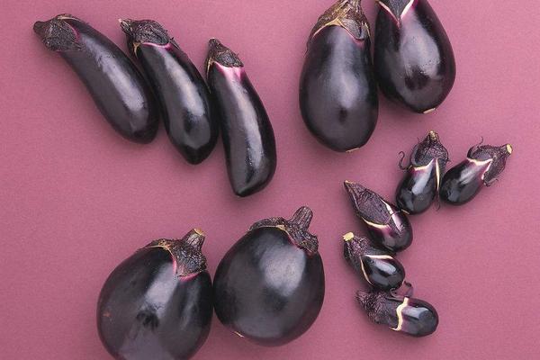 茄子和菌類能一起吃嗎 茄子和西紅柿能一起吃嗎