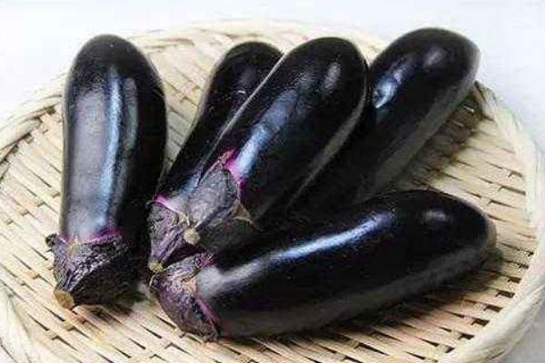 茄子和菌類能一起吃嗎 茄子和西紅柿能一起吃嗎