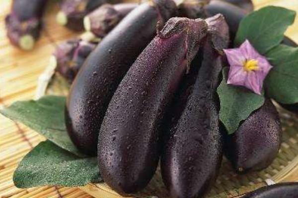 茄子和菌類能一起吃嗎 茄子和西紅柿能一起吃嗎