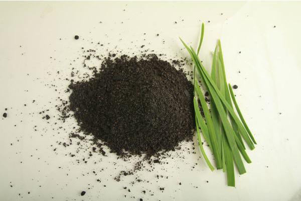 韭菜籽的功效與作用及禁忌 韭菜籽怎么吃最好