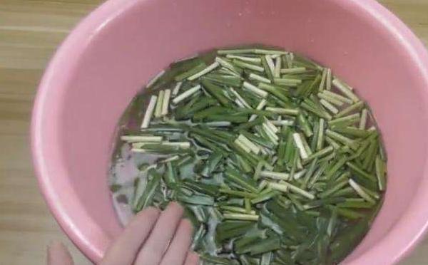 韭菜泡腳的功效與作用及禁忌 韭菜泡腳治腳氣嗎