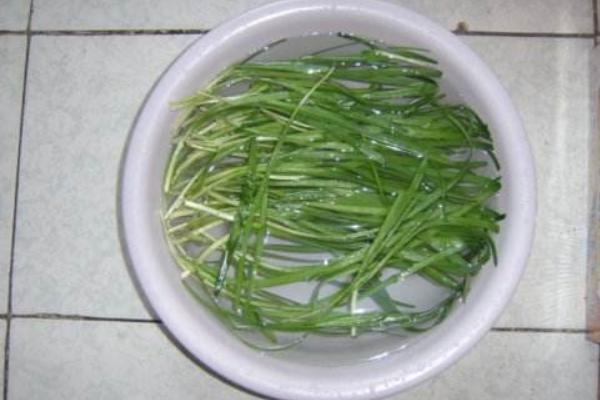 韭菜泡腳的功效與作用及禁忌 韭菜泡腳治腳氣嗎