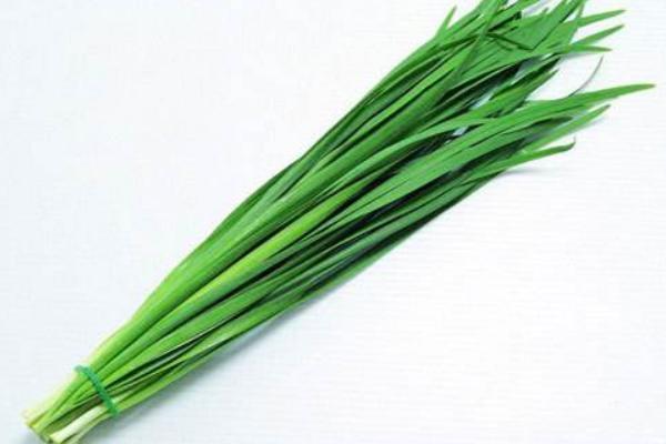 韭菜泡腳的功效與作用及禁忌 韭菜泡腳治腳氣嗎