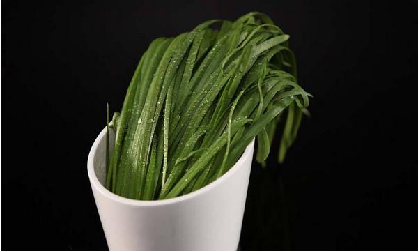 怎樣腌制韭菜花不變黃 韭菜生吃好還是熟吃好