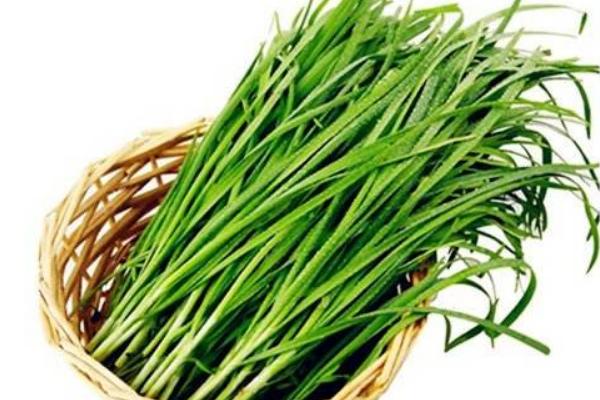 怎樣腌制韭菜花不變黃 韭菜生吃好還是熟吃好