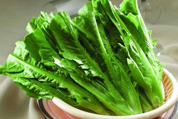 炒油麥菜為什么會苦 油麥菜有點苦能吃嗎