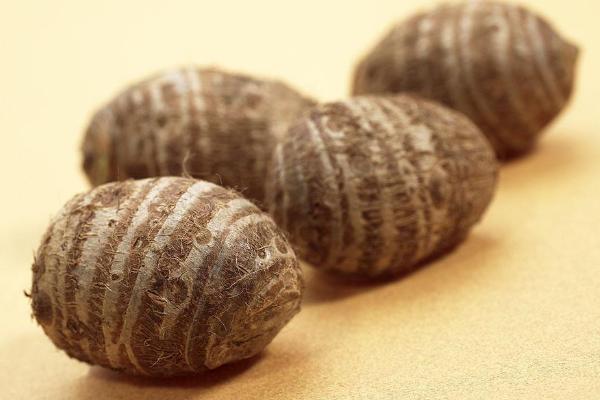 芋頭產地在哪里 芋頭是粗糧嗎