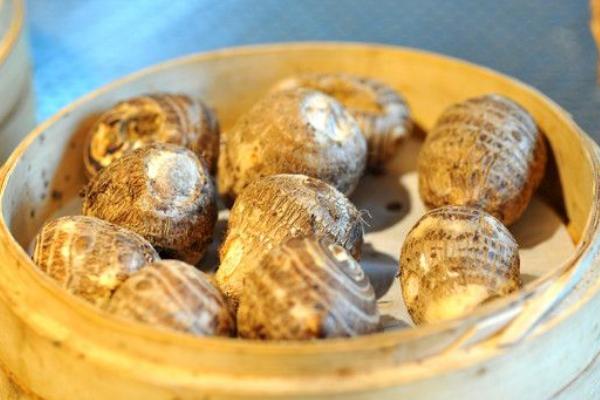 芋頭畝產(chǎn)量有多少斤 種芋頭一畝利潤(rùn)有多少