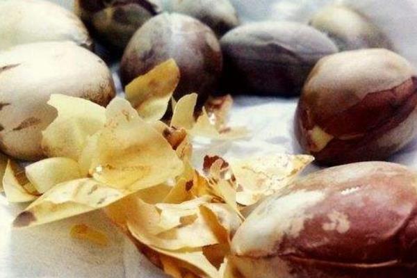 菠蘿蜜的核怎么吃 菠蘿蜜的核可以吃嗎