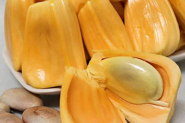 菠蘿蜜長在哪里 菠蘿蜜什么樣子算熟