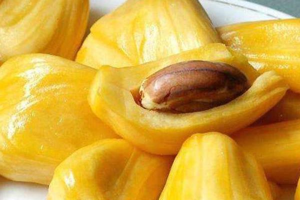 菠蘿蜜怎么辨別生熟 菠蘿蜜熟到什么程度可以吃