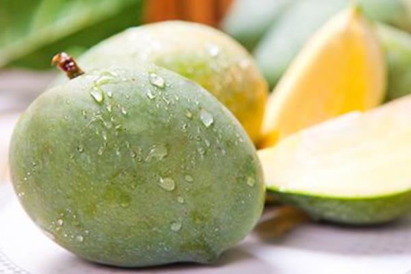 芒果怎么看熟沒熟 芒果為什么會苦