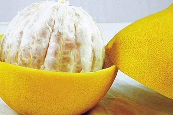 沙田柚是哪里的特產 沙田柚的畝產量有多少