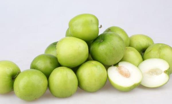 青棗種植技術 青棗幾月份成熟（上市時間）