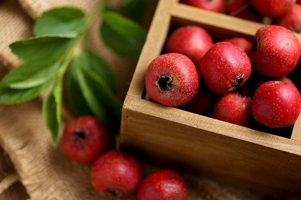 山楂回奶嗎 山楂怎樣吃才減肥