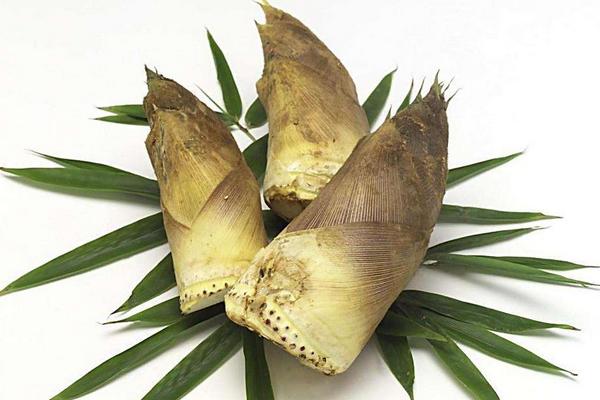 鮮竹筍怎么處理 竹筍怎么剝皮