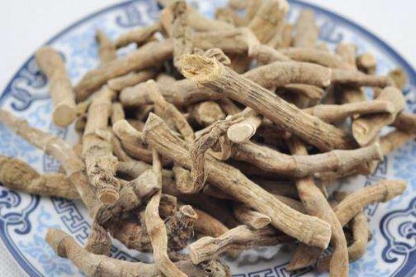 艾草根煮水有什么功效 艾草根煲雞功效和作用