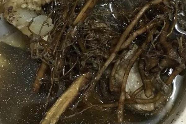 艾草根煮水有什么功效 艾草根煲雞功效和作用