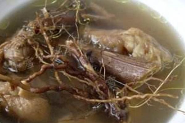 艾草根煮水有什么功效 艾草根煲雞功效和作用