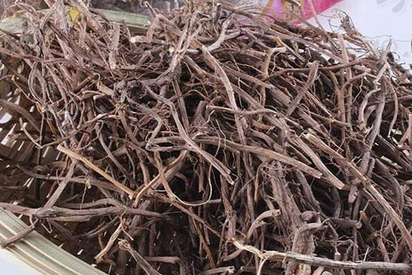 艾草根煮水有什么功效 艾草根煲雞功效和作用