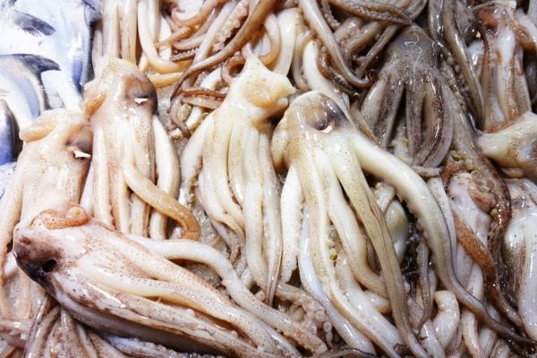 魷魚內(nèi)臟能吃嗎 魷魚籽能吃嗎 魷魚哪些部位不能吃