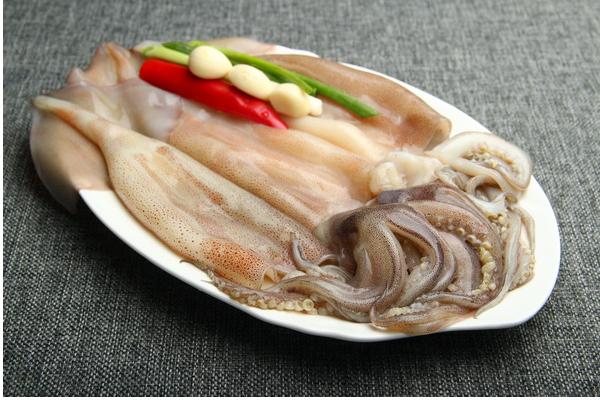 魷魚可以養(yǎng)殖嗎 為什么不能人工養(yǎng)殖魷魚