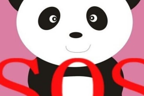 熊貓血型是什么血型 熊貓血的人聰明嗎