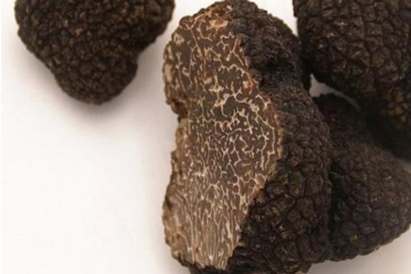松露市場價格多少錢一斤 松露貴嗎