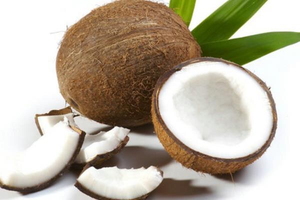 椰子怎么開 椰子的三個孔怎么找 沒有工具怎么開椰子