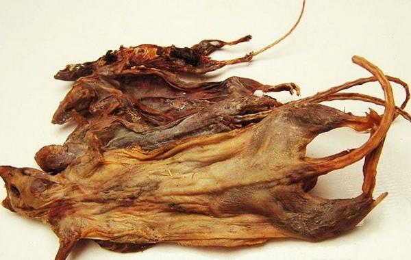 老鼠干市場(chǎng)價(jià)格多少錢一斤 哪里能買老鼠干