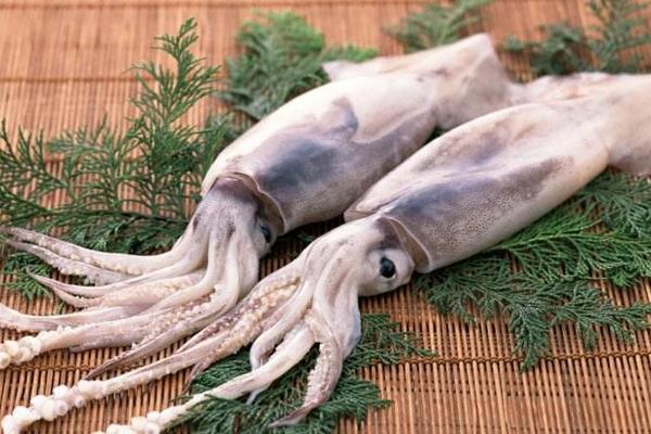 新鮮魷魚怎么處理 魷魚怎么去腥