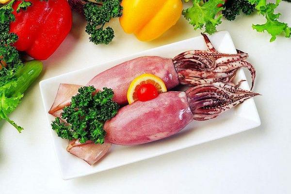 狗能吃魷魚嗎 貓能吃魷魚嗎