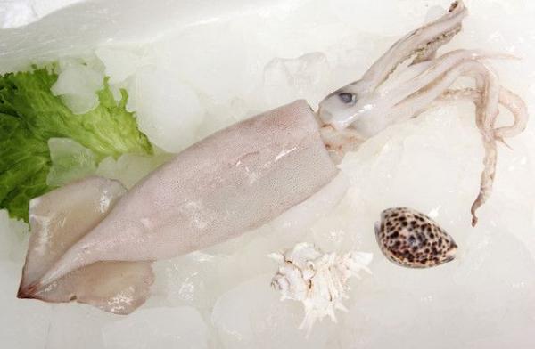 魷魚頭能吃嗎 魷魚頭怎么做好吃