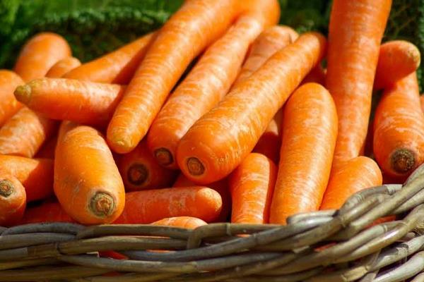 胡蘿卜的做法大全 胡蘿卜家常做法有哪些