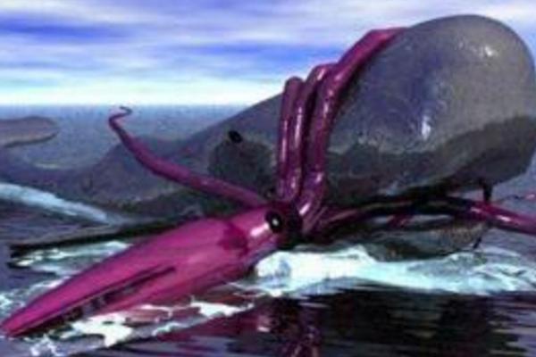 地震烏賊為什么很恐怖 地震烏賊真的存在嗎