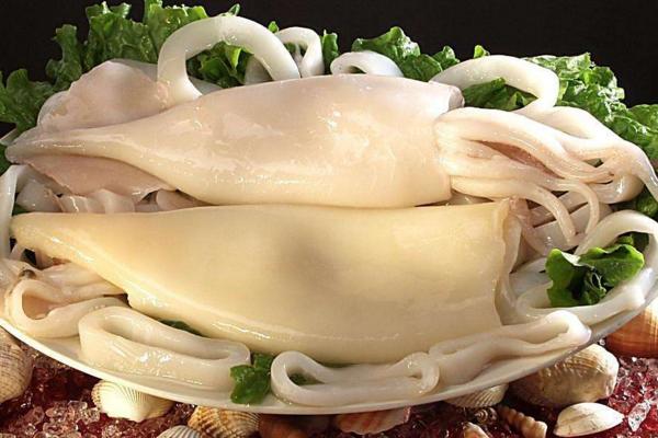 烏賊功效與作用及禁忌 烏賊的藥用價值