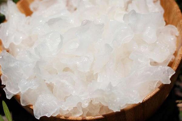 雪耳的做法大全 新鮮雪耳怎么煮
