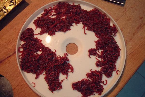 紅蟲能釣什么魚 紅蟲拉餌制作方法