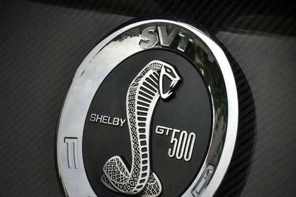 車標是眼鏡蛇是什么車 眼鏡蛇標志的車多少錢一輛