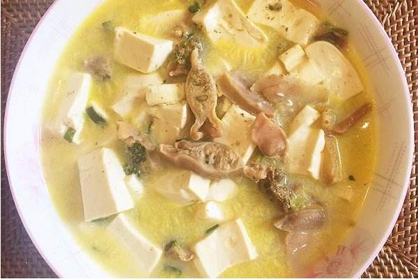 河蚌的功效與作用及禁忌 河蚌的營養價值